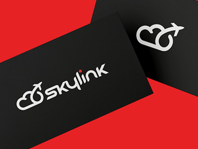Koncepcja logo Sky Link