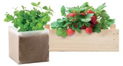 Upominki reklamowe do ogrodu