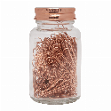 Spinacze COPPER CLIPS w słoiku do drukowania logo Zdjęcie 2