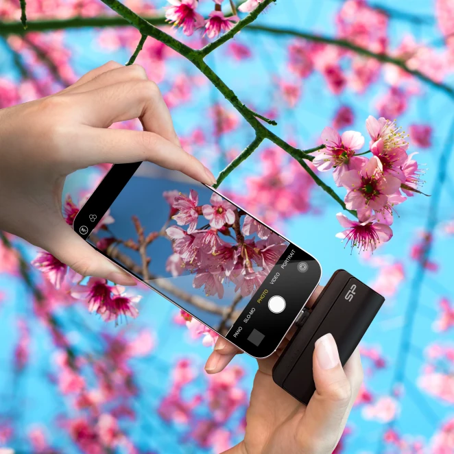 Power bank QD50 5000 mAh Silicon Power do drukowania logo Zdjęcie 8